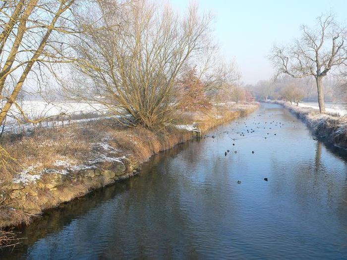 Brétigny-sur-Orge_L'Orge